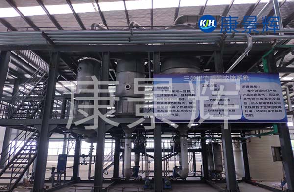 多效降膜蒸發(fā)器可以用來濃縮處理廢水，特別適合處理牛奶、淀粉、葡萄糖等食品廠廢水的加工處理中